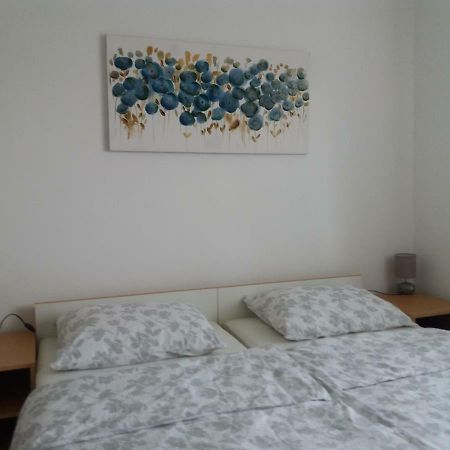 Apartment Hinic Vrhovine ภายนอก รูปภาพ